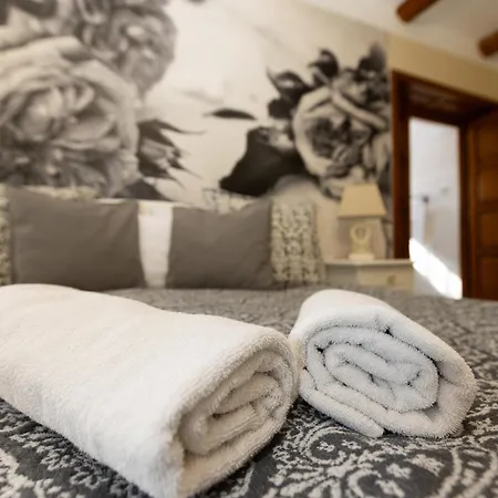 Videki Porta Guest house *