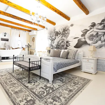 Videki Porta Guest house *