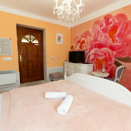 Guest house Videki Porta *