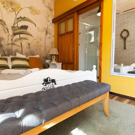 Videki Porta Guest house *
