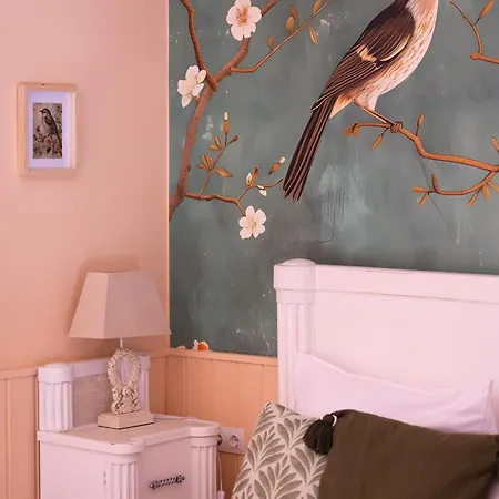 Videki Porta Guest house