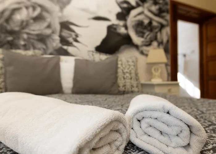 Videki Porta Konukevi 4*