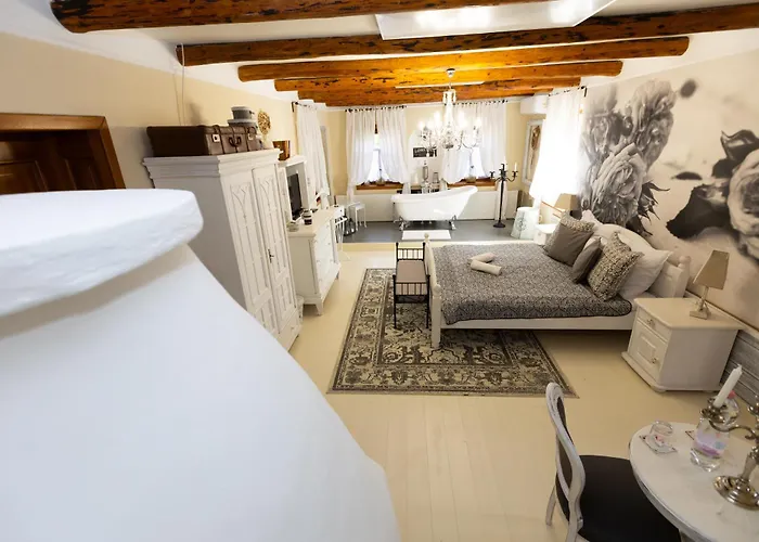 Konukevi Videki Porta 4*