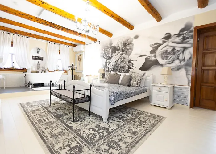 Videki Porta Konukevi 4*