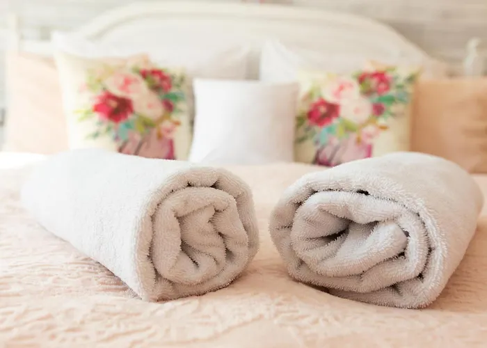 Videki Porta Konukevi 4*