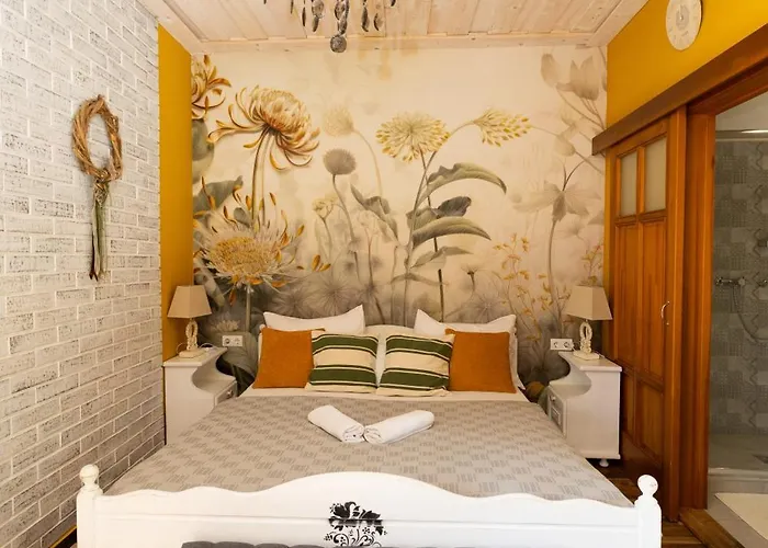 Konukevi Videki Porta 4*