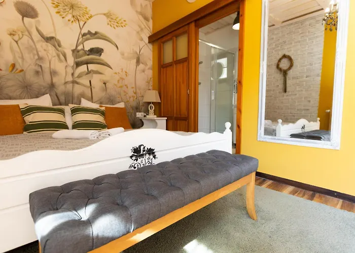 Videki Porta Konukevi 4*